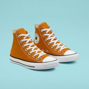 NWT Converse Chuck Taylor All Star Seasonal